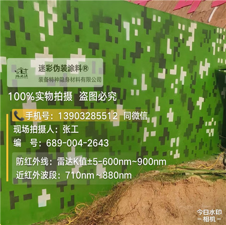 丹东星空迷彩漆，夏令营训练,数码迷彩作训墙,围墙